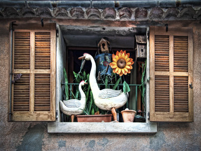 Sunflower and geese window