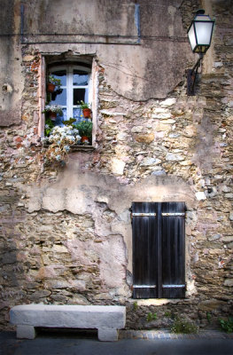 Bench and Window