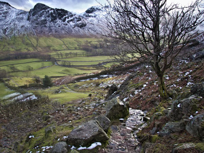 View over Langdale