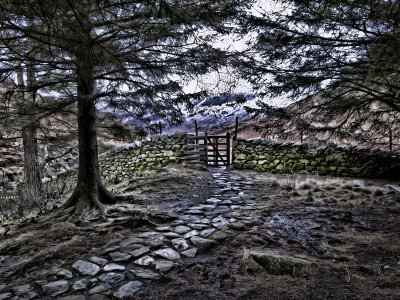 Path to kissing gate, Langdale
