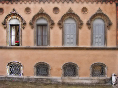 Window with the Red Flowers