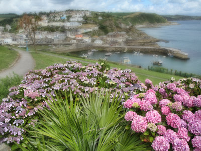 Mevagissey Harbour