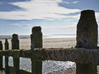 Groyne at Camber Sands