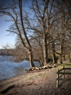 By the lake