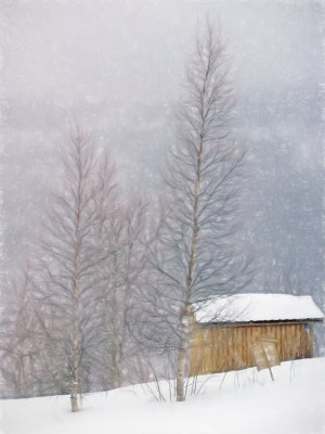 Christmas snow - Norway
