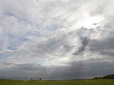 Sheep and sunbeams