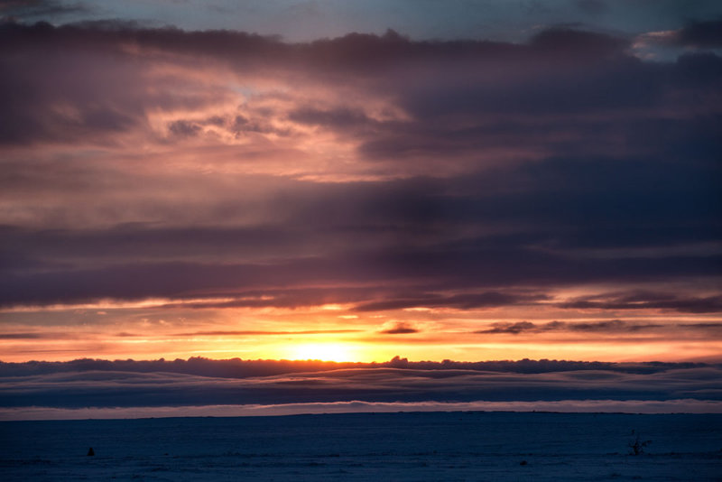 Sunset on the tundra.IMG_5877.jpg