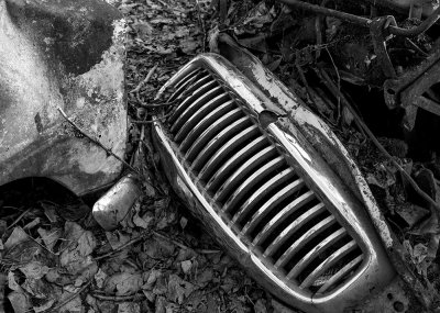 The grill of a car from the early 1950's. CZ2A1575.jpg