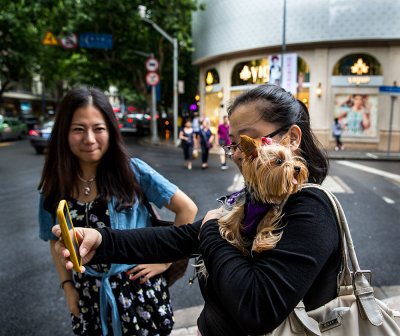 Dog's are loved in Shanghai. CZ2A5505.jpg