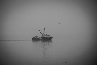 Prince William Sound on a foggy day. Near Valdez, AK. .jpg