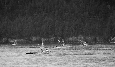 Prince William Sound. Near Valdez, AK. .jpg