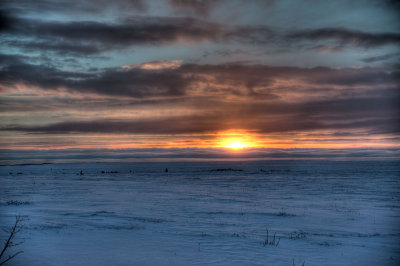 Sunset on the tundra.