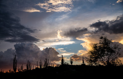 Arizona monsoons. DSC00009.jpg