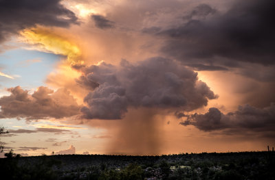 Arizona monsoons. DSC00015.jpg