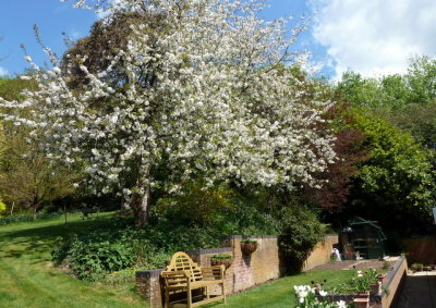 Spring 2013