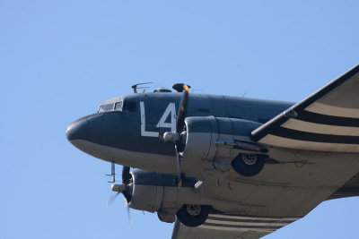 _MG_4849.jpg