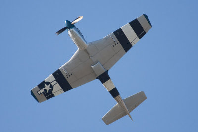 _MG_4878.jpg
