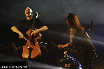 Tarja