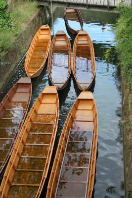 Ulm_8066