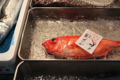 Fish Alone (Red)