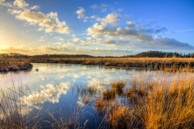 HDR Landscapes