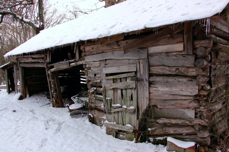 DSC_1592.jpg