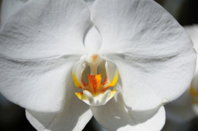 DSC_0225.jpg