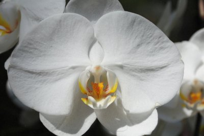 DSC_0226.jpg