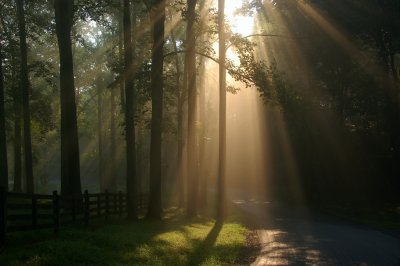 Morning Fog in the Blue Ridge Mountains {Barry Towe Photography}