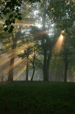 Morning Fog in the Blue Ridge Mountains {Barry Towe Photography}