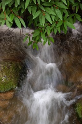 Blue Ridge Mountain Creeks {Barry Towe Photography}