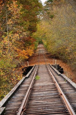 Train Tracks in the fall {Barry Towe Photography}