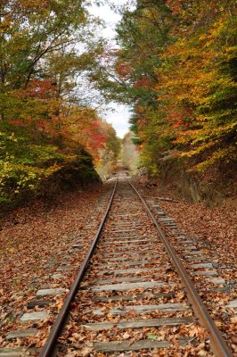 Train Tracks in the fall {Barry Towe Photography}