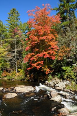 Linn Cove Yiaduct on Grandfather Mountain {Barry Towe Photography}