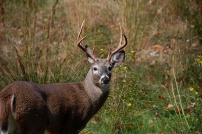 Here's looking at ya By:Barry Towe Photography