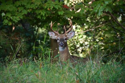 Caught ya By:Barry Towe Photography