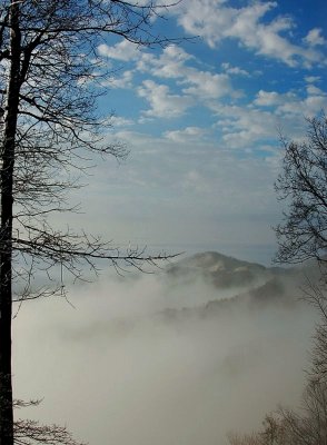 Winter Morning Fog Rising from the Foothill's on the Blue Ridge Mountian's By:Barry Towe Photography