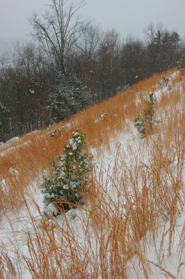 Blue Ridge Mountian's Snow and the Foothills of the Ridge Mountian's By:Barry Towe Photography