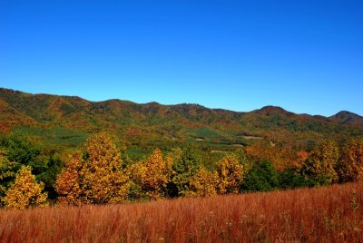 Early Fall Colors in the Blue Ridge Mountian's By:Barry Towe Photography