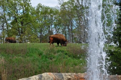 DSC_1449.jpg