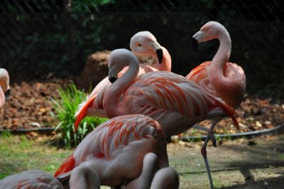 DSC_1456.jpg
