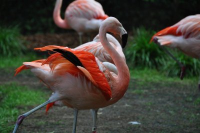 DSC_1459.jpg