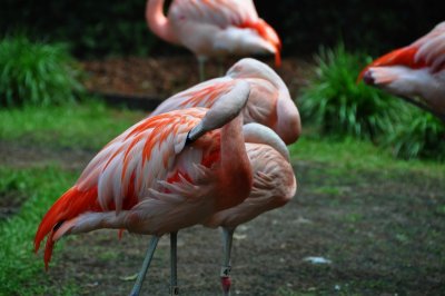 DSC_1462.jpg