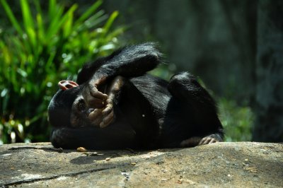 DSC_1498.jpg