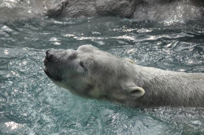 DSC_1420.jpg