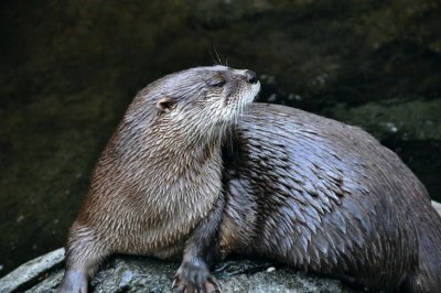 DSC_1432.jpg