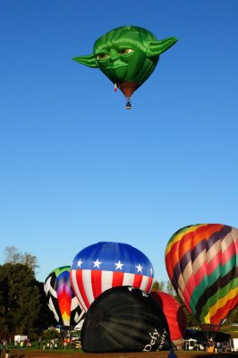 DSC_1104.jpg