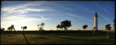 _DSC0798_1.jpg