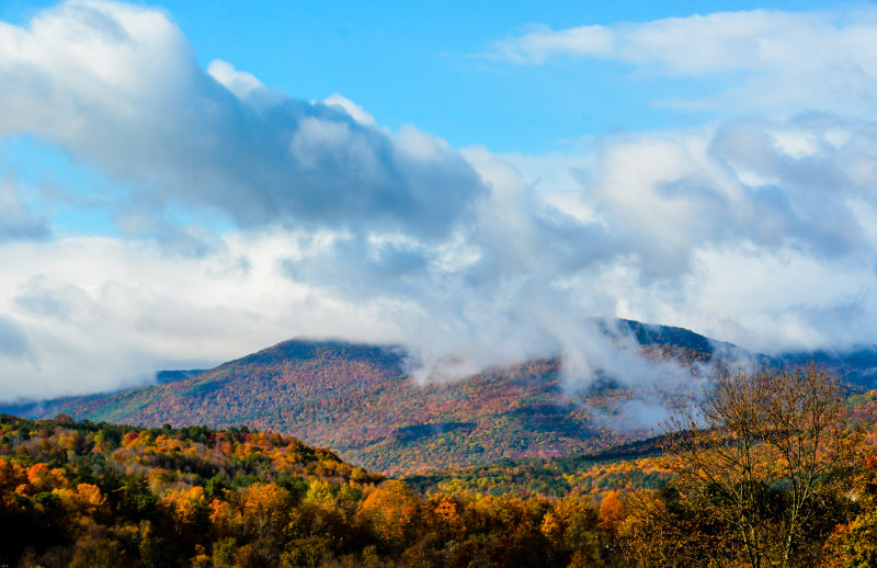 DSC_1920.jpg
