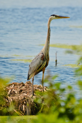 DSC_0319.jpg